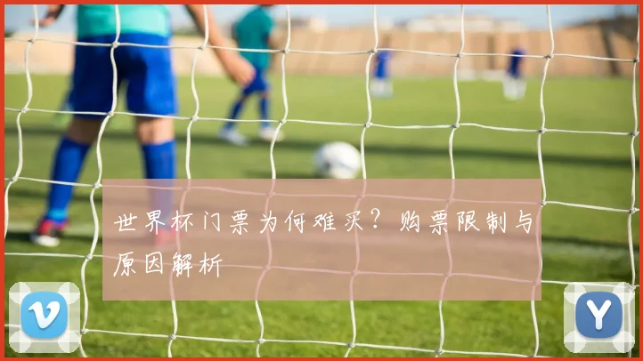 世界杯门票为何难买？购票限制与原因解析