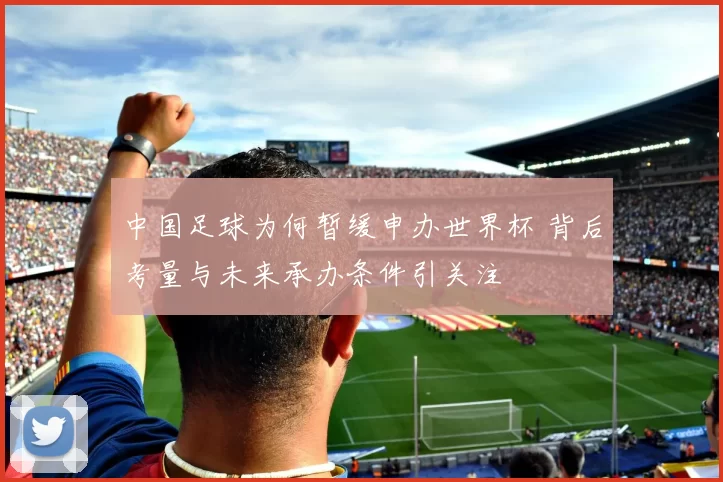 中国足球为何暂缓申办世界杯 背后考量与未来承办条件引关注