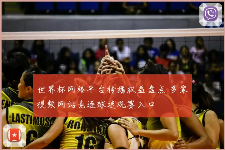 世界杯网络平台转播权益盘点 多家视频网站竞逐球迷观赛入口