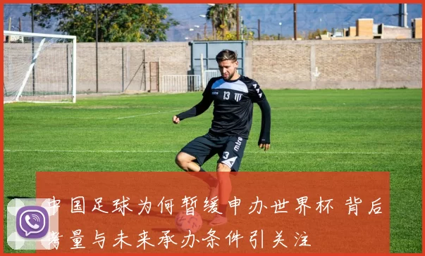 中国足球为何暂缓申办世界杯 背后考量与未来承办条件引关注