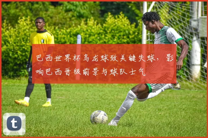 巴西世界杯乌龙球致关键失球，影响巴西晋级前景与球队士气
